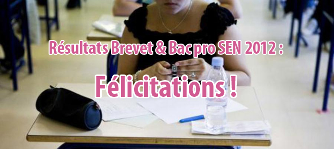 Résultats du Brevet et du Bac Pro SEN 2012 : Félicitations à tous !