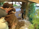Les sixièmes visitent Séviac et le musée archéologique d'Eauze