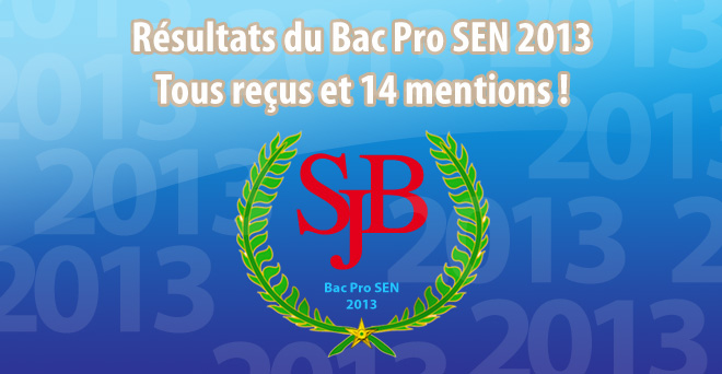 100% de reçus au Bac Pro SEN 2013 !
