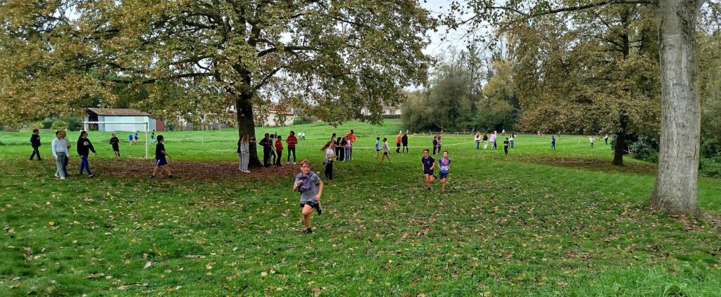 img_20241107_111145-2