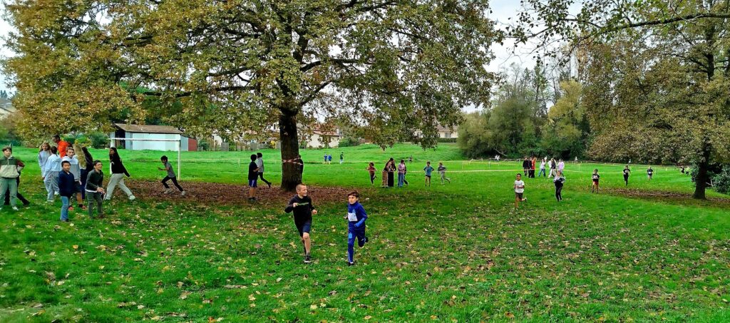 img_20241107_111158-2