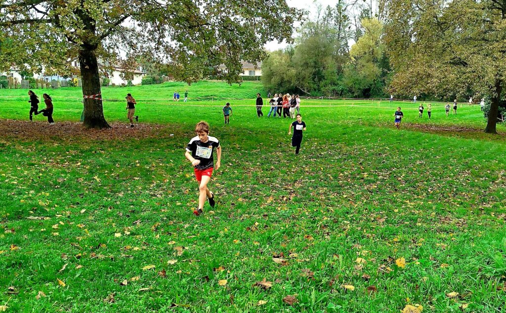 img_20241107_111205-2