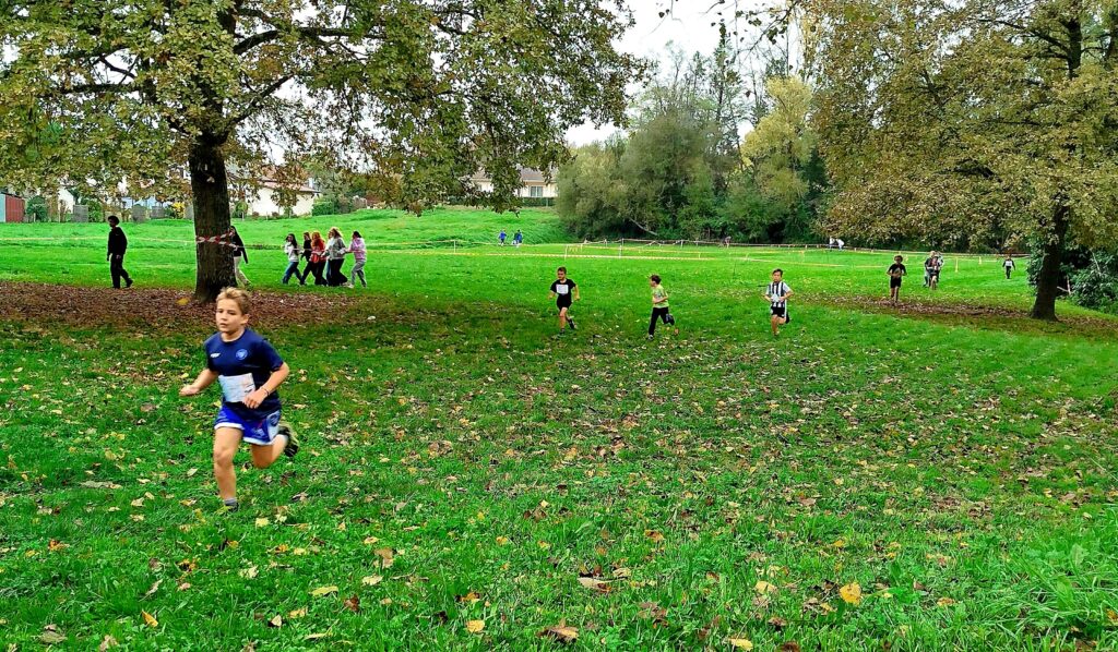 img_20241107_111215-2