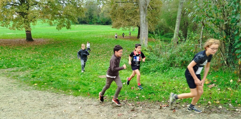 img_20241107_111234-2