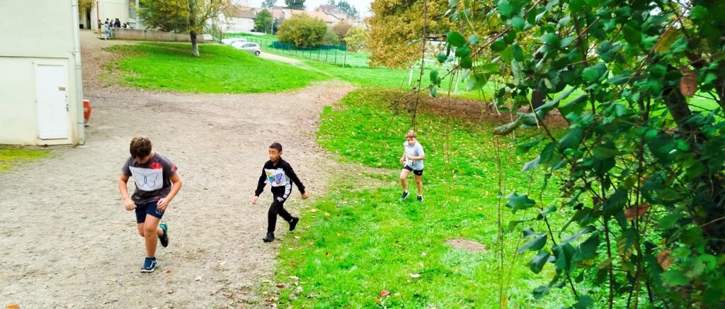 img_20241107_111249-2