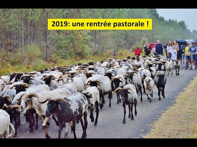 Une rentrée pastorale
