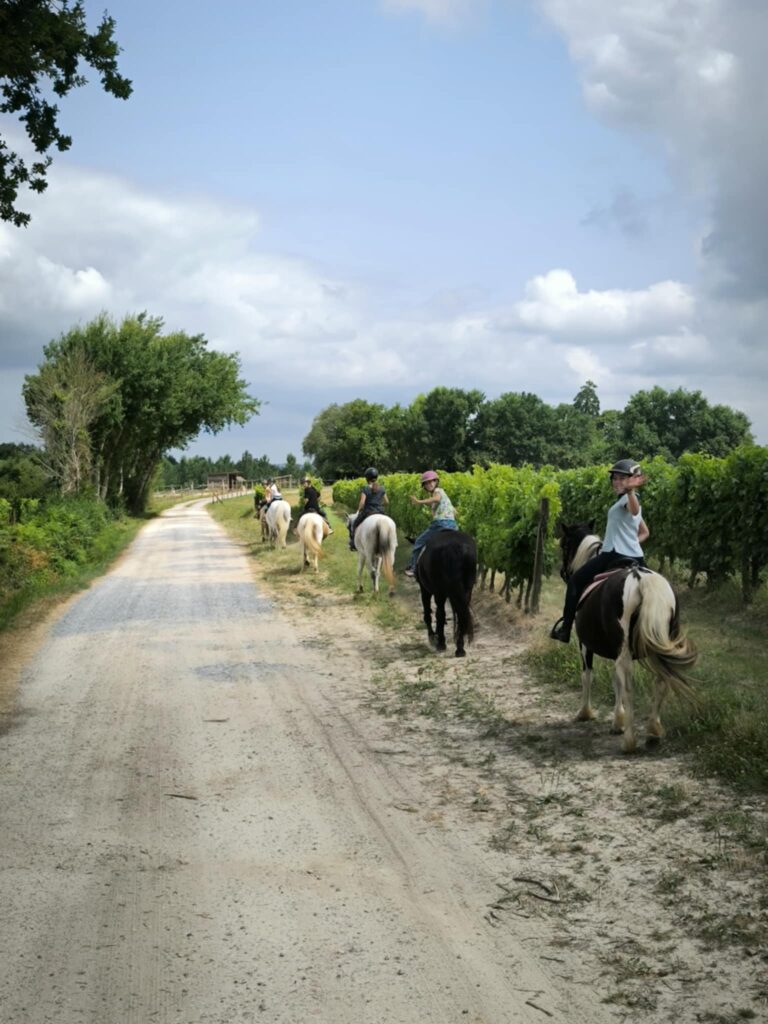 🌞 Une belle sortie pour clôturer l’année ! 🌿🐎